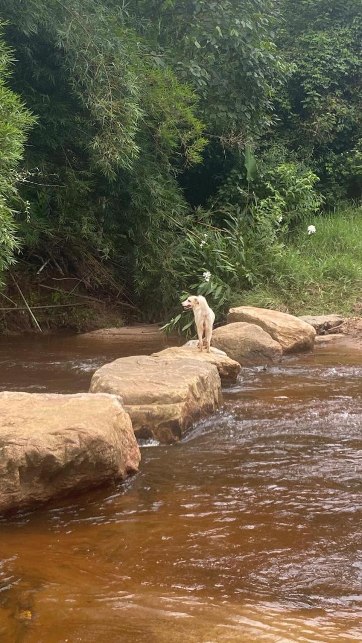 Pousada Rural E Pesqueiro Chale Da Serra Conceição da Ibitipoca Dış mekan fotoğraf