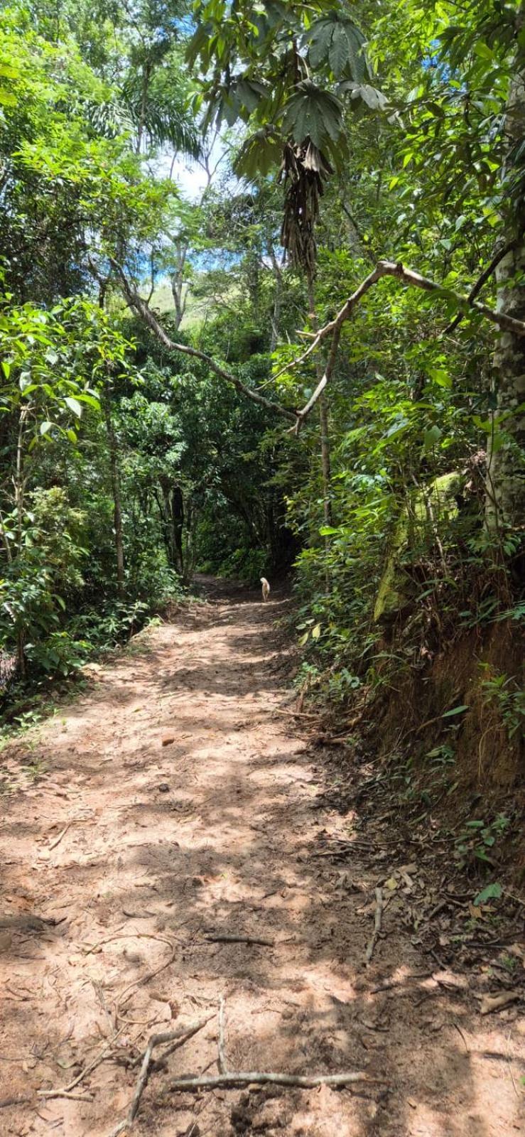 Pousada Rural E Pesqueiro Chale Da Serra Conceição da Ibitipoca Dış mekan fotoğraf