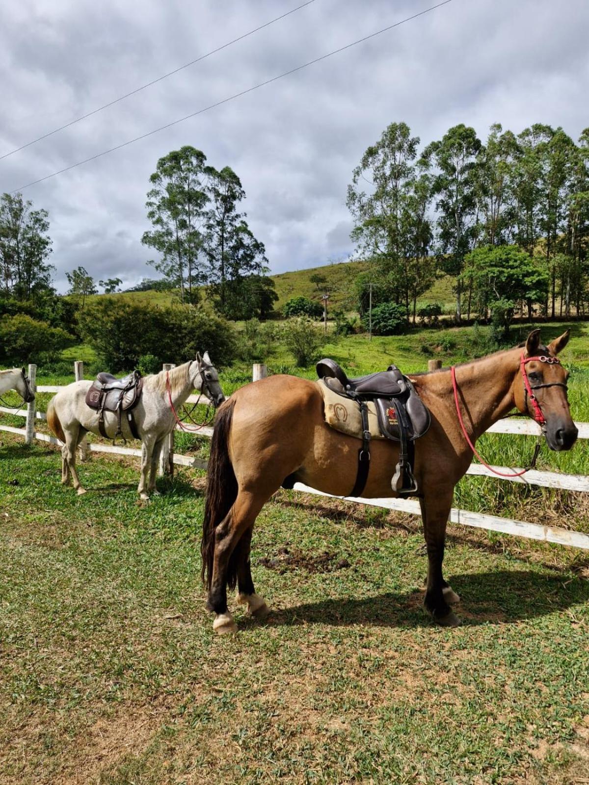 Pousada Rural E Pesqueiro Chale Da Serra Conceição da Ibitipoca Dış mekan fotoğraf
